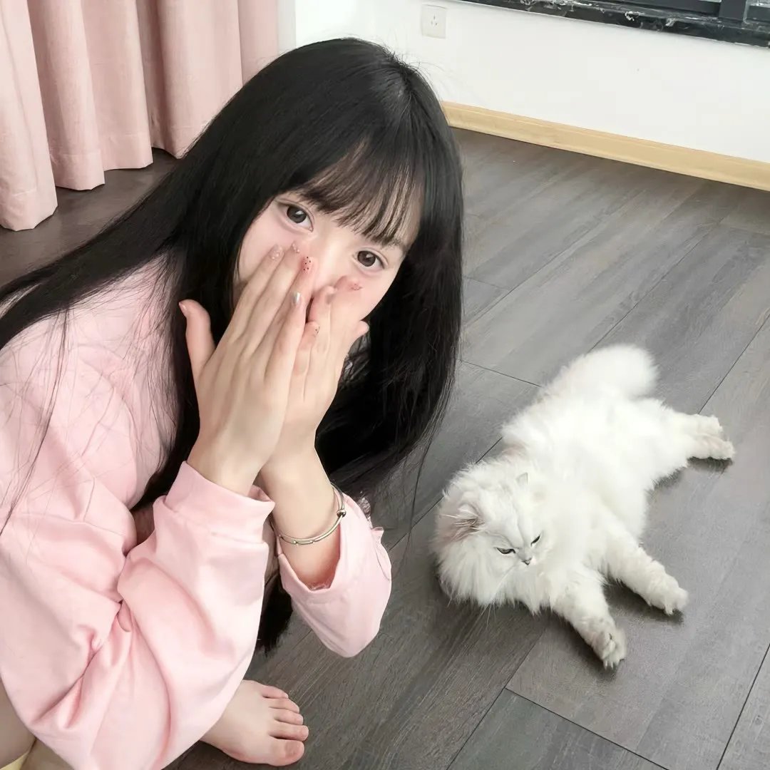 麻烦大了 封面
